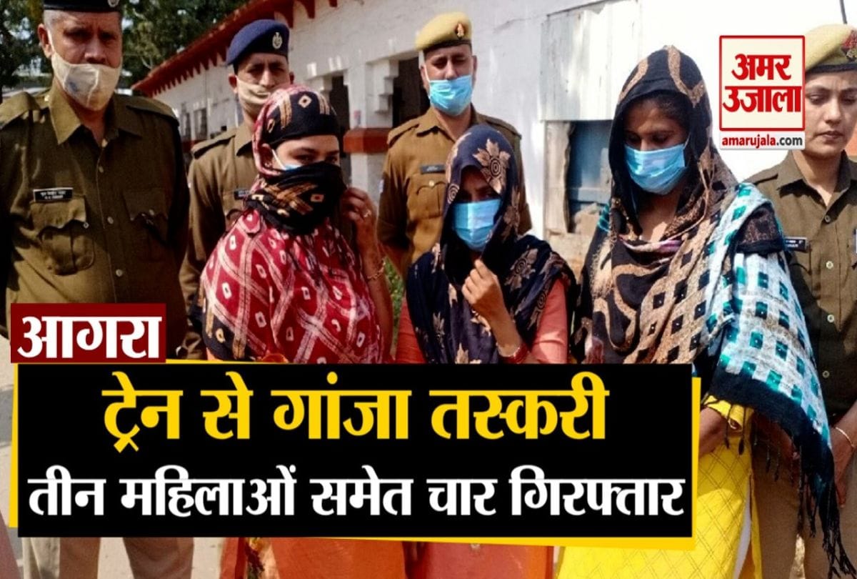 गांजा तस्कर