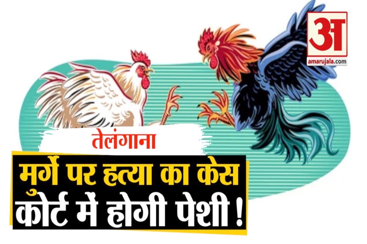 मुर्गा गिरफ्तार