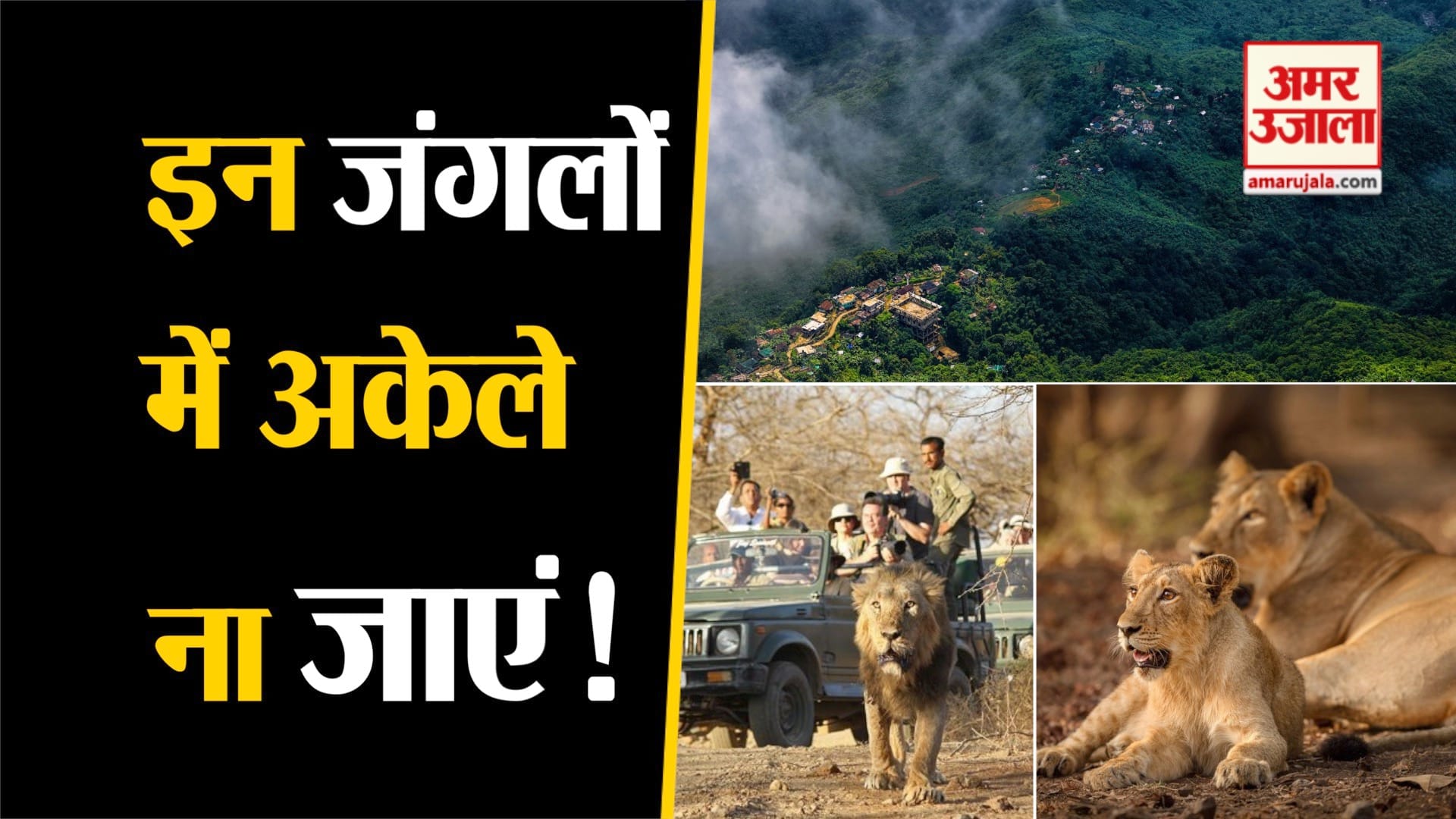 खतरनाक जंगल
