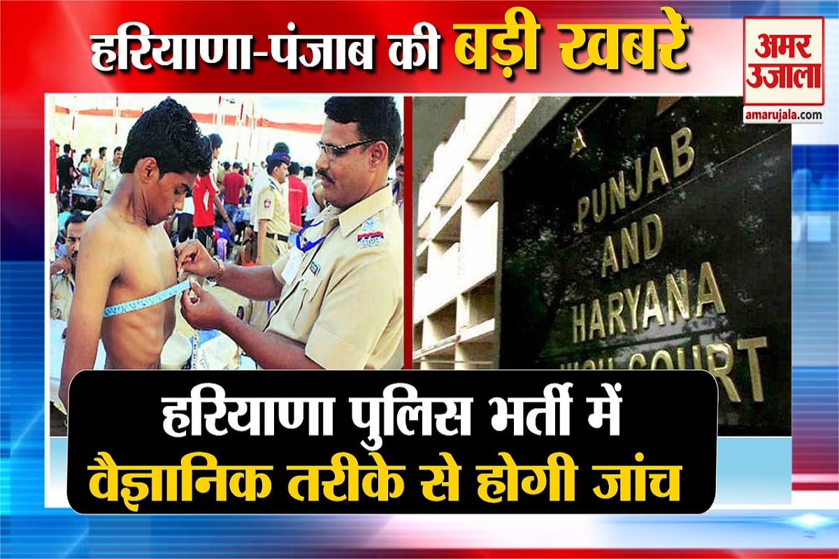हरियाणा न्यूज