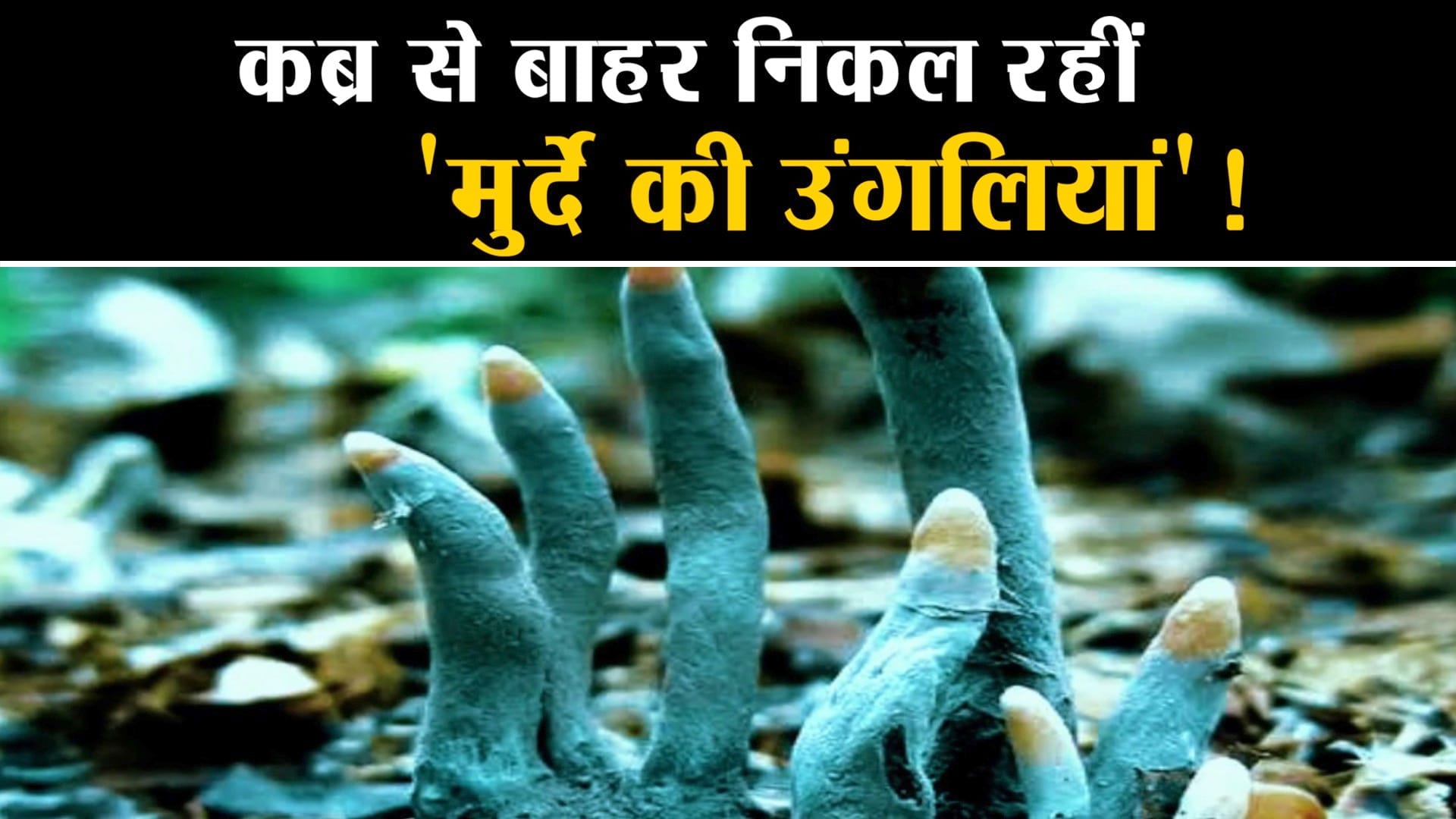डेडमैन्स फिंगर्स