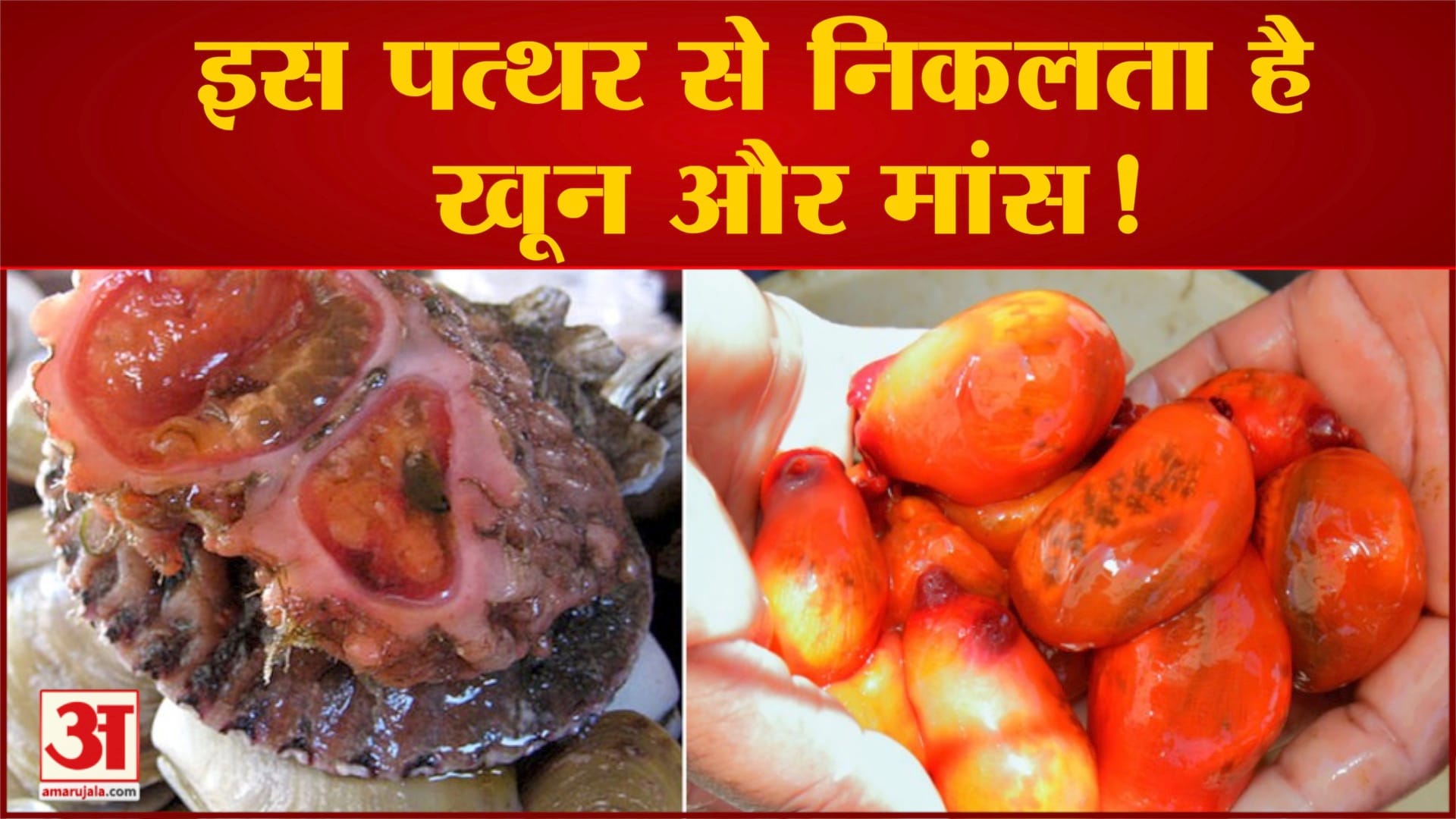 ब्लीडिंग रॉक