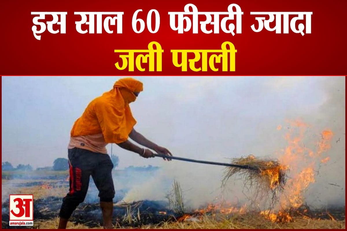 पराली
