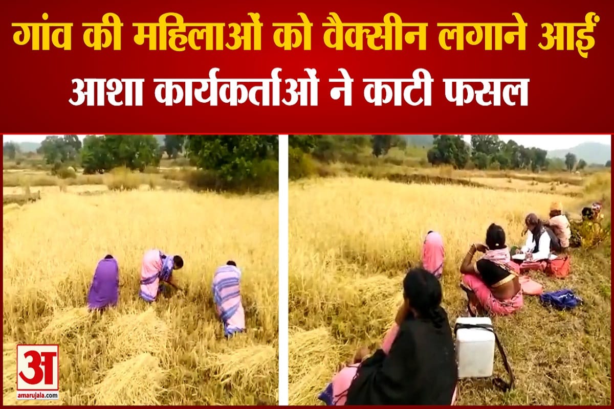आशा कार्यकर्ता मध्य प्रदेश