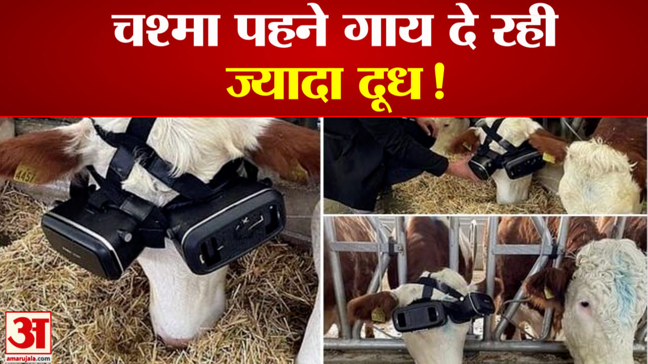 टर्की