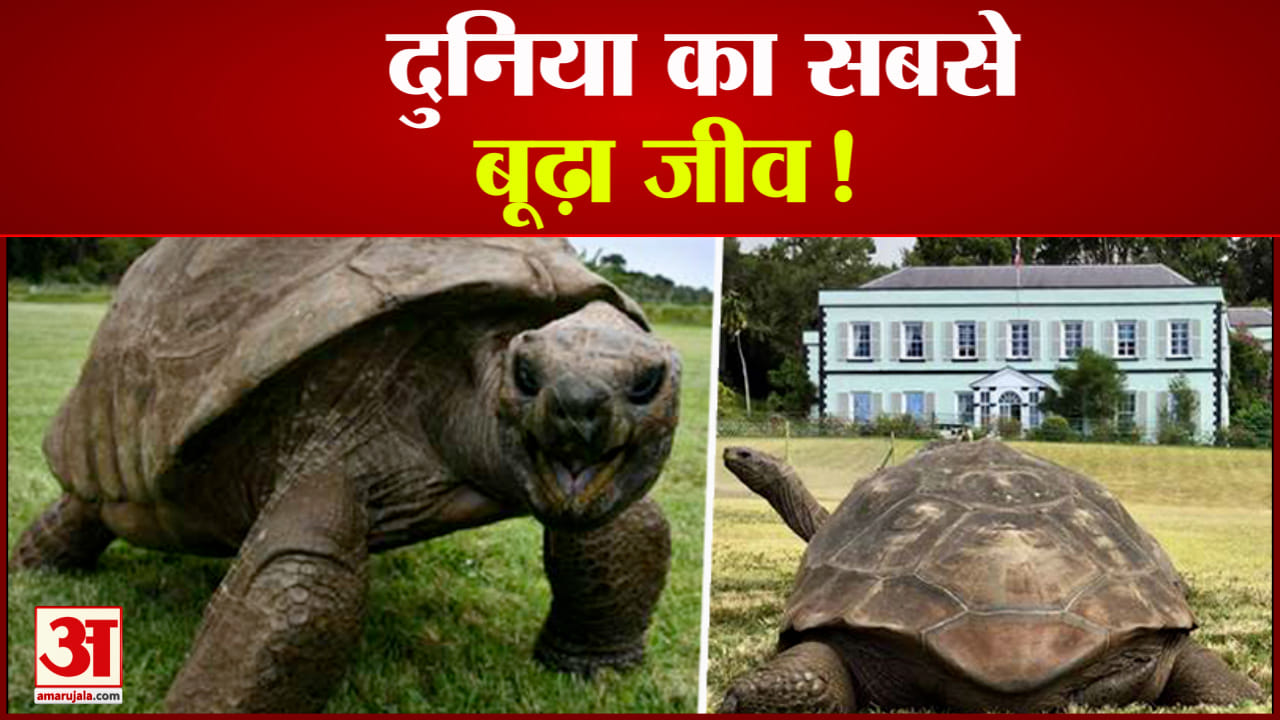 जोनाथन