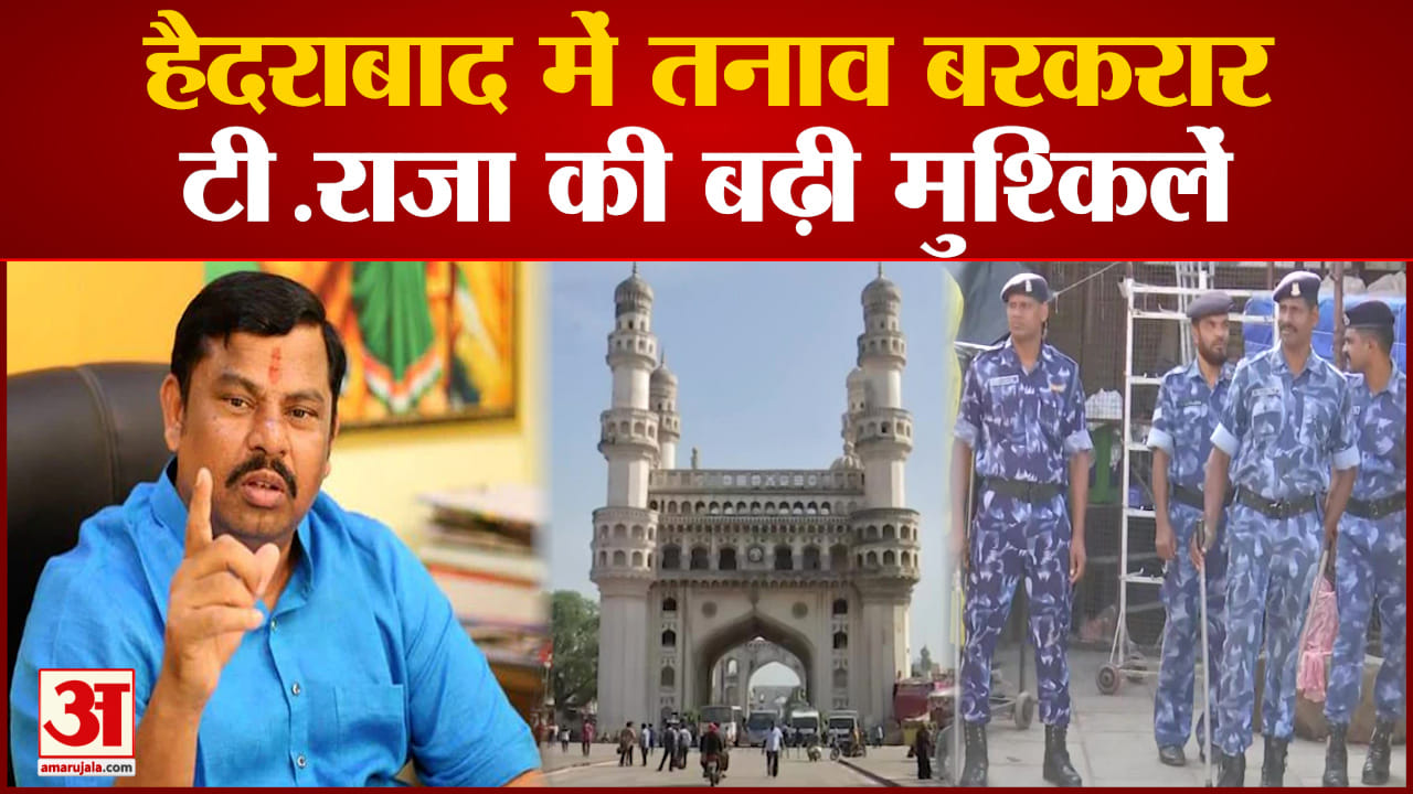 टी राजा