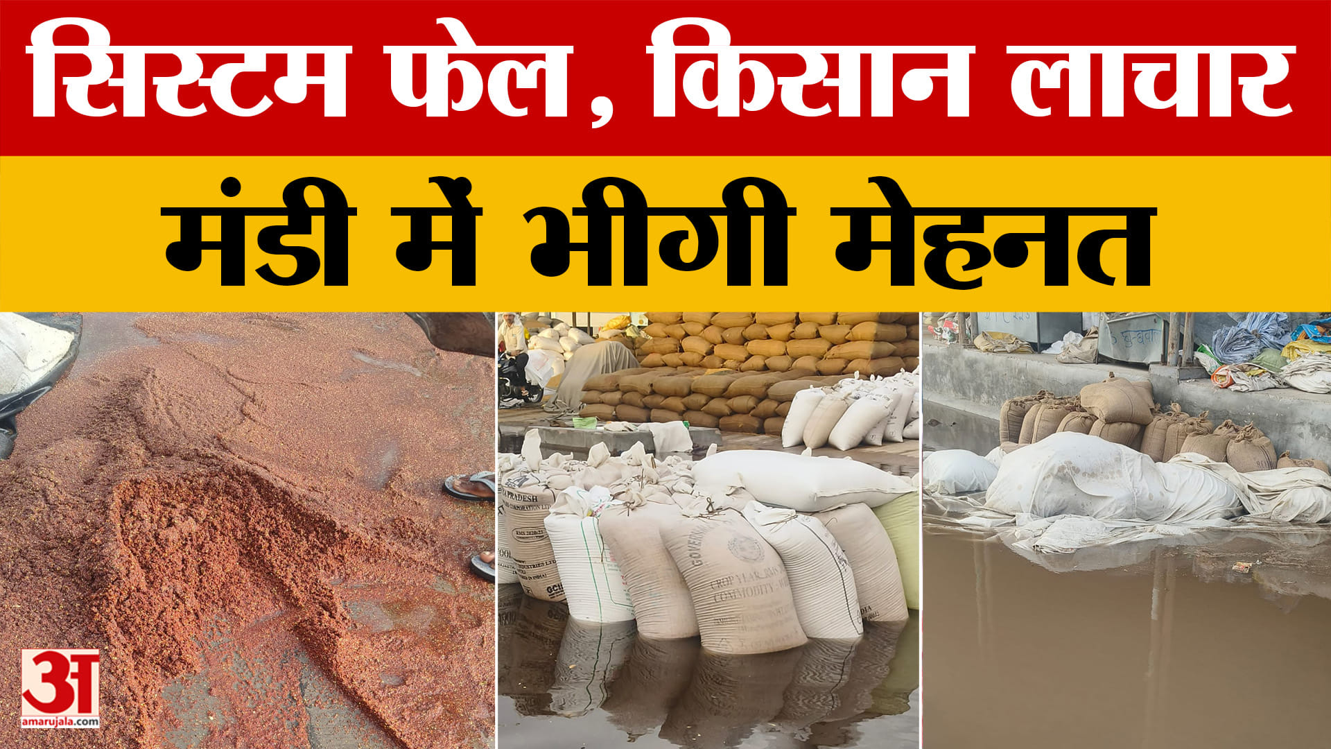 Rajasthan: आफत बनकर बरसी बारिश, मंडी में खुले आसमान के नीचे भीगा अनाज