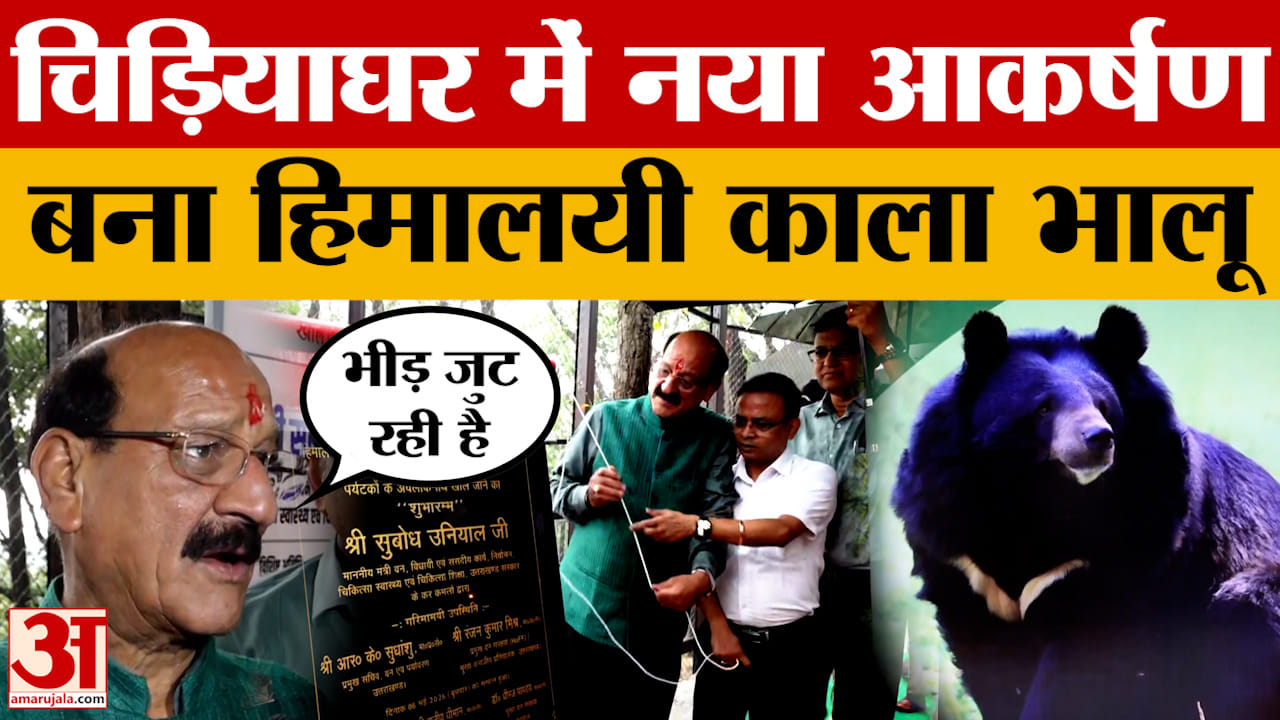 Dehradun: देहरादून चिड़ियाघर में नया आकर्षण बना हिमालयी काला भालू, देखने के लिए जुट रही है भीड़