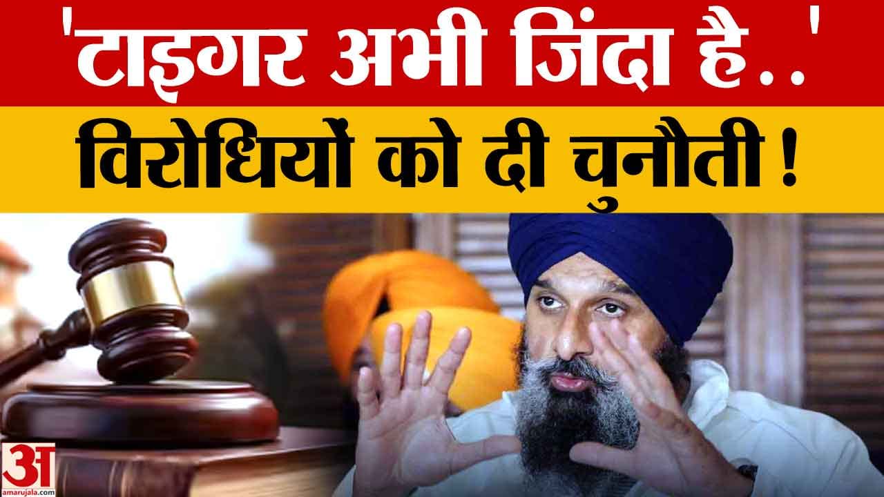 बिक्रम सिंह मजीठिया बोले- टाइगर अभी जिंदा है, जमानत के बाद समर्थकों का जताया आभार
