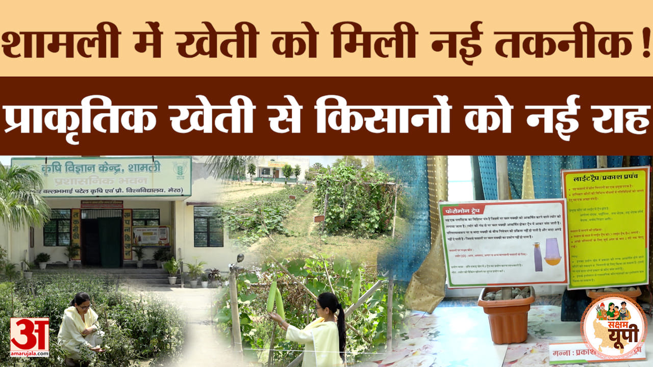 Shamli Ground Report: शामली के कृषि विज्ञान केंद्र से किसानों को नई राह, खेती को मिल रही नई तकनीक